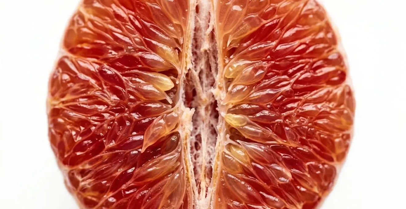 Macro view of cellular detoxification process with natural textures